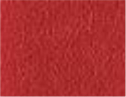 Siser 3D Techno Red (TE0007) - пленка для термопереноса на ткани с 3D эффектом Сисер 3Д Техно Красная, 200 мкм Siser 3D Techno Red (TE0007) - пленка для термопереноса на ткани с 3D эффектом Сисер 3Д Техно Красная, 200 мкм