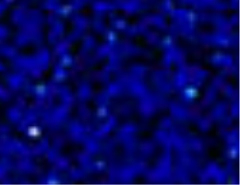 Siser Glitter Blue (G0013) - термоплівка з блискітками Сісер Глітер Синя (1 пог м) Siser Glitter Blue (G0013) - термоплівка з блискітками Сісер Глітер Синя (1 пог м)