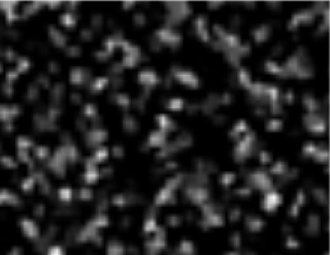 Siser Glitter Black (G0019) - термоплівка з блискітками Сісер Глітер Чорна (1 пог м) Siser Glitter Black (G0019) - термоплівка з блискітками Сісер Глітер Чорна (1 пог м)