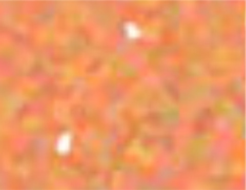 Siser Glitter Neon Orange (G0023) - термоплівка з блискітками Сісер Глітер Неон Помаранчева (1 пог м) Siser Glitter Neon Orange (G0023) - термоплівка з блискітками Сісер Глітер Неон Помаранчева (1 пог м)