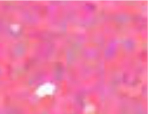 Siser Glitter Neon Pink (G0024) - термоплівка з блискітками Сісер Глітер Неон Рожева (1 пог м) Siser Glitter Neon Pink (G0024) - термоплівка з блискітками Сісер Глітер Неон Рожева (1 пог м)