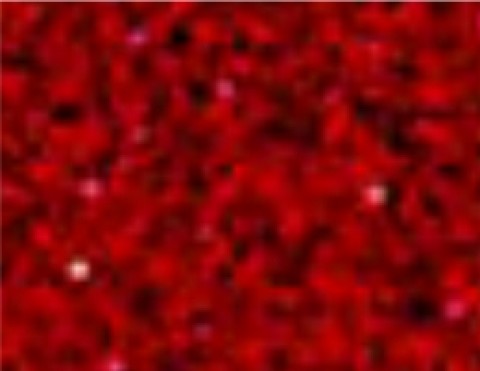 Siser Glitter Red (G0007) - термоплівка з блискітками Сісер Глітер Червона (1 пог м) Siser Glitter Red (G0007) - термоплівка з блискітками Сісер Глітер Червона (1 пог м)