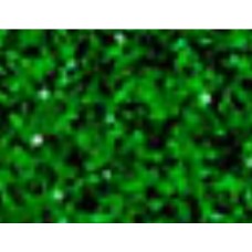 Siser Glitter Grass (G0009) - термоплівка з блискітками Сісер Глітер Трава (1 пог м)