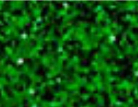 Siser Glitter Grass (G0009) - термоплівка з блискітками Сісер Глітер Трава (1 пог м) Siser Glitter Grass (G0009) - термоплівка з блискітками Сісер Глітер Трава (1 пог м)