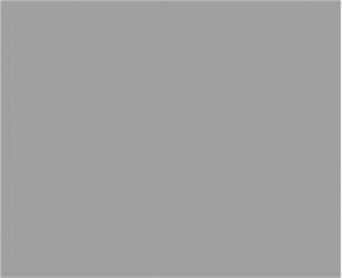 Siser P.S. Soft Grey (SF0018) - еластична плівка для термоперенесення Сісер П.С. Софт Сіра (1 пог м)