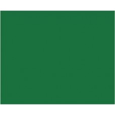 Siser P.S. Soft Green (SF0009) - еластична плівка для термоперенесення Сісер П.С. Софт Зелена (1 пог м)