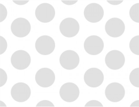 Siser P.S. Perfor White (PF0001) - перфорована термоплівка для нанесення на тканини Сісер П.С. Перфор Біла (1 пог м) Siser P.S. Perfor White (PF0001) - перфорована термоплівка для нанесення на тканини Сісер П.С. Перфор Біла (1 пог м)